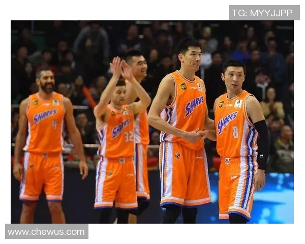 杭州篮球队实力强劲最新篮球个人能力排行榜前十揭晓 杭州篮球队实力强劲最新篮球个人能力排行榜前十揭晓