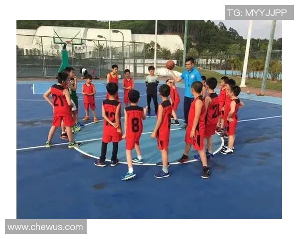 重庆篮球队心理素质排名第八揭示球队成长与挑战的背后故事