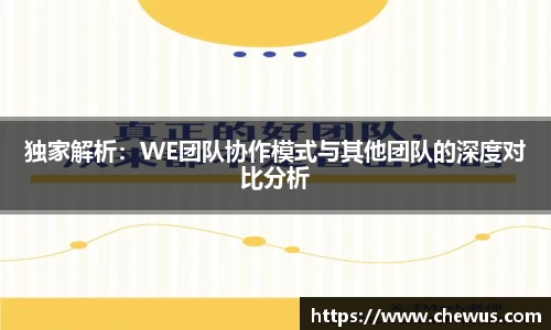 独家解析：WE团队协作模式与其他团队的深度对比分析